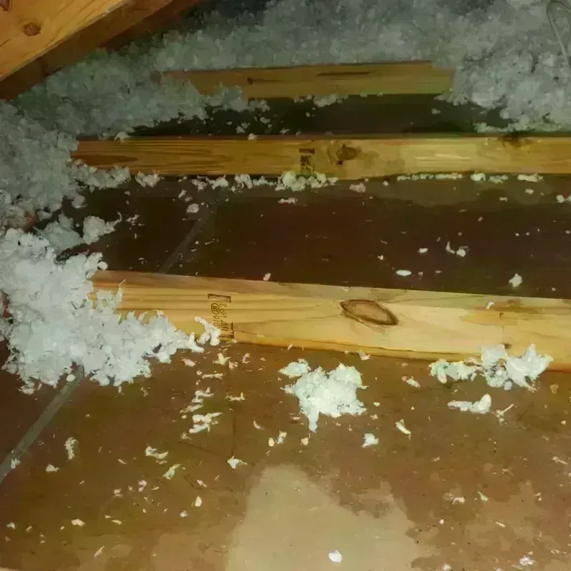 Attic Water Damage in Wonder Lake, IL