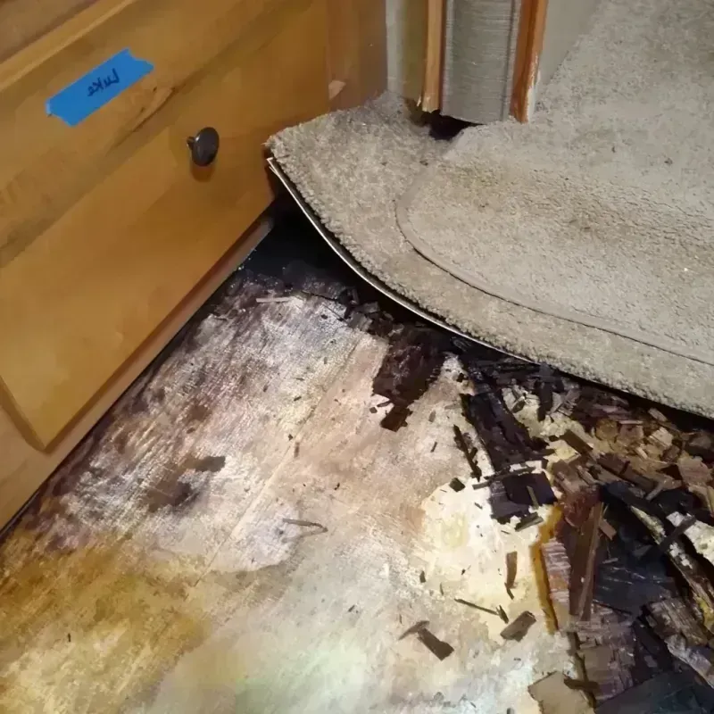 Wood Floor Water Damage in Wonder Lake, IL